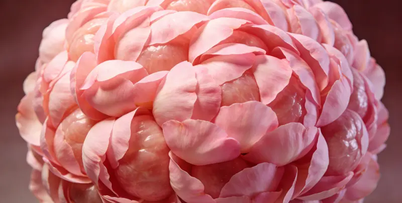 邢台BRCA1/2乳腺癌卵巢癌基因检测图片1